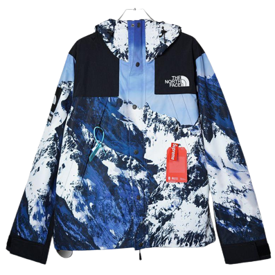 Jaqueta Supreme x The North Face Mountain Parka